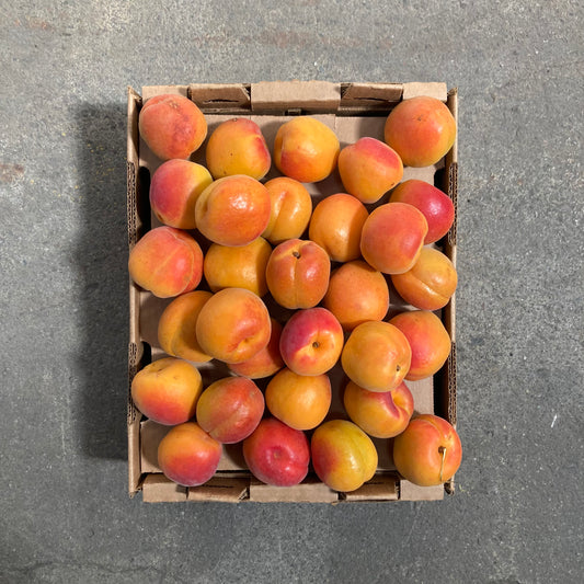 Box of Organic Red Cloud Apricots