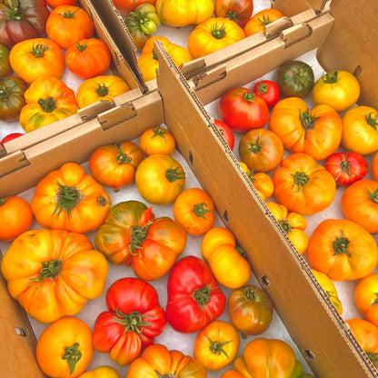Box of Organic Dry-Farmed Mix Heirloom Tomatoes