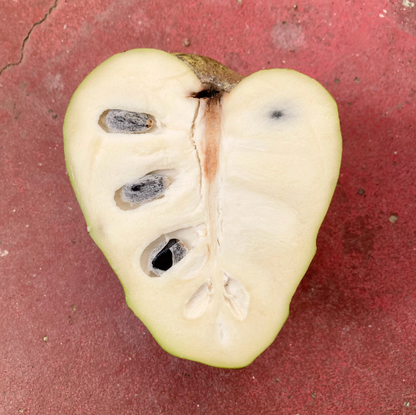 Organic Booth Cherimoya Box