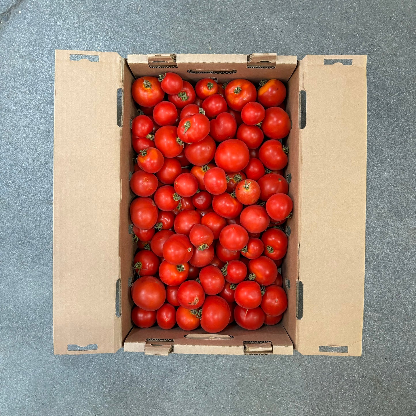 Case of Organic Dry-Farmed Early Girl Tomatoes