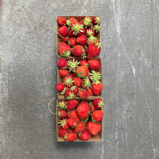Trio of Organic Mara de Bois Strawberries