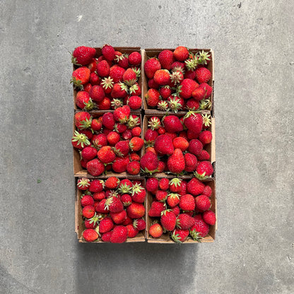 Half Flat of Organic Mara de Bois Strawberries