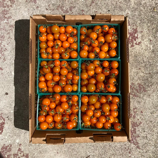Half Flat of Organic Sungold Cherry Tomatoes