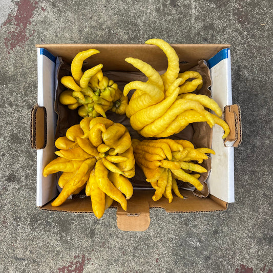 Buddha’s Hand Citron Box