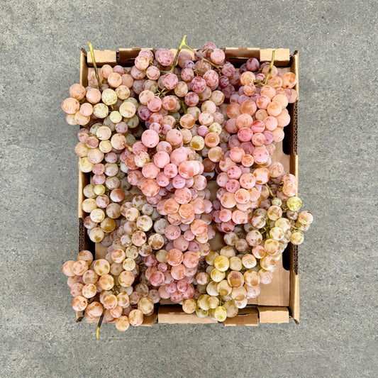 Box of Organic Bronx Grapes