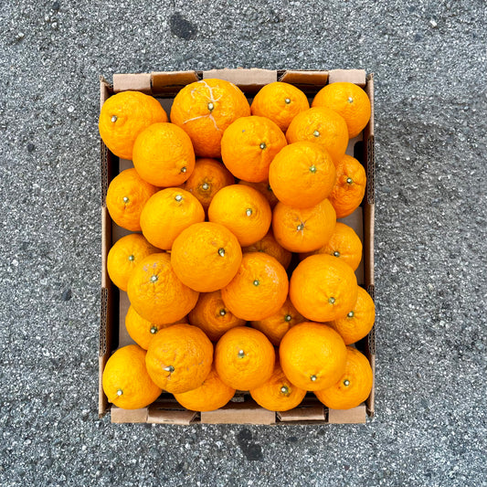 Organic Gold Nugget Mandarin Box