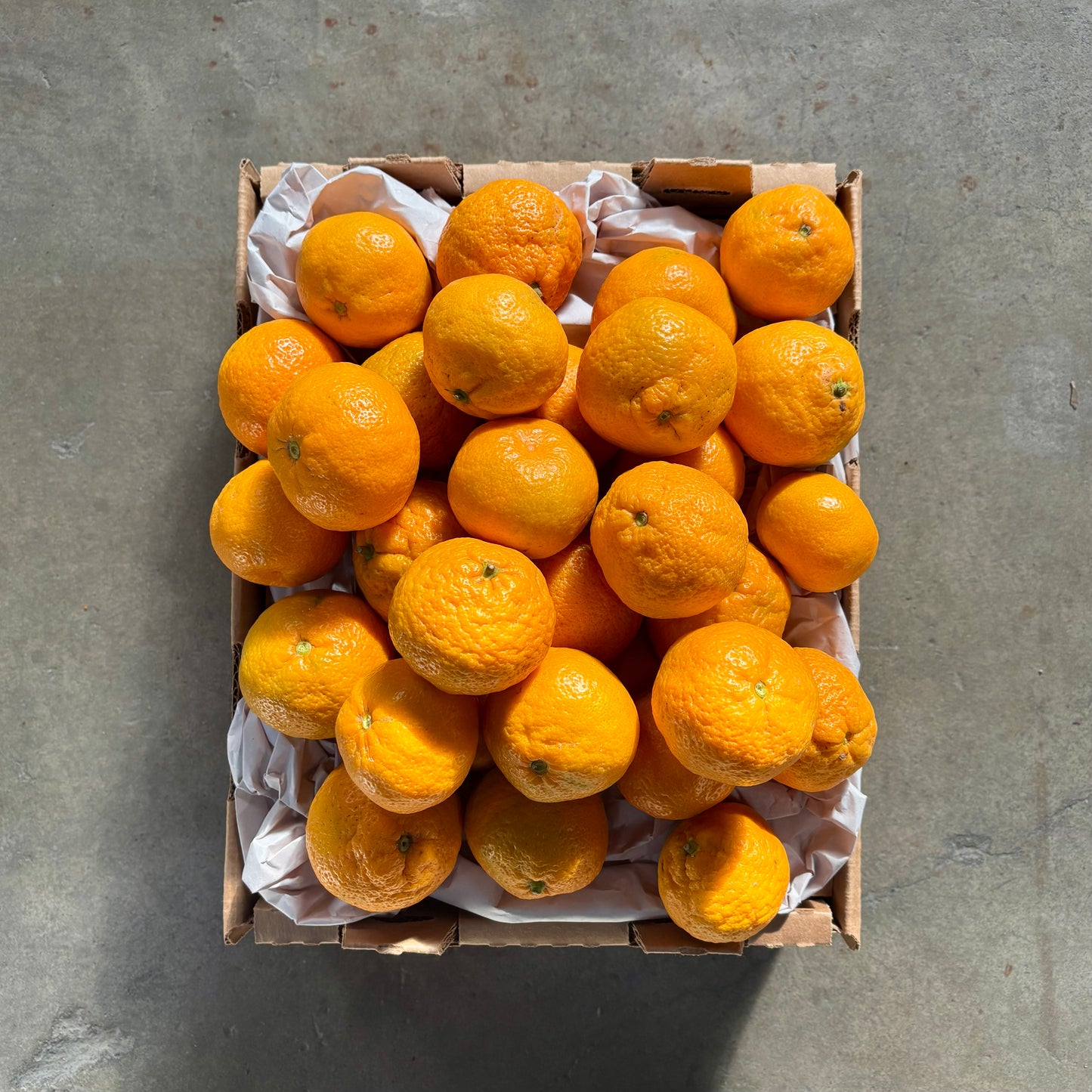 Organic Owari Satsuma Mandarins