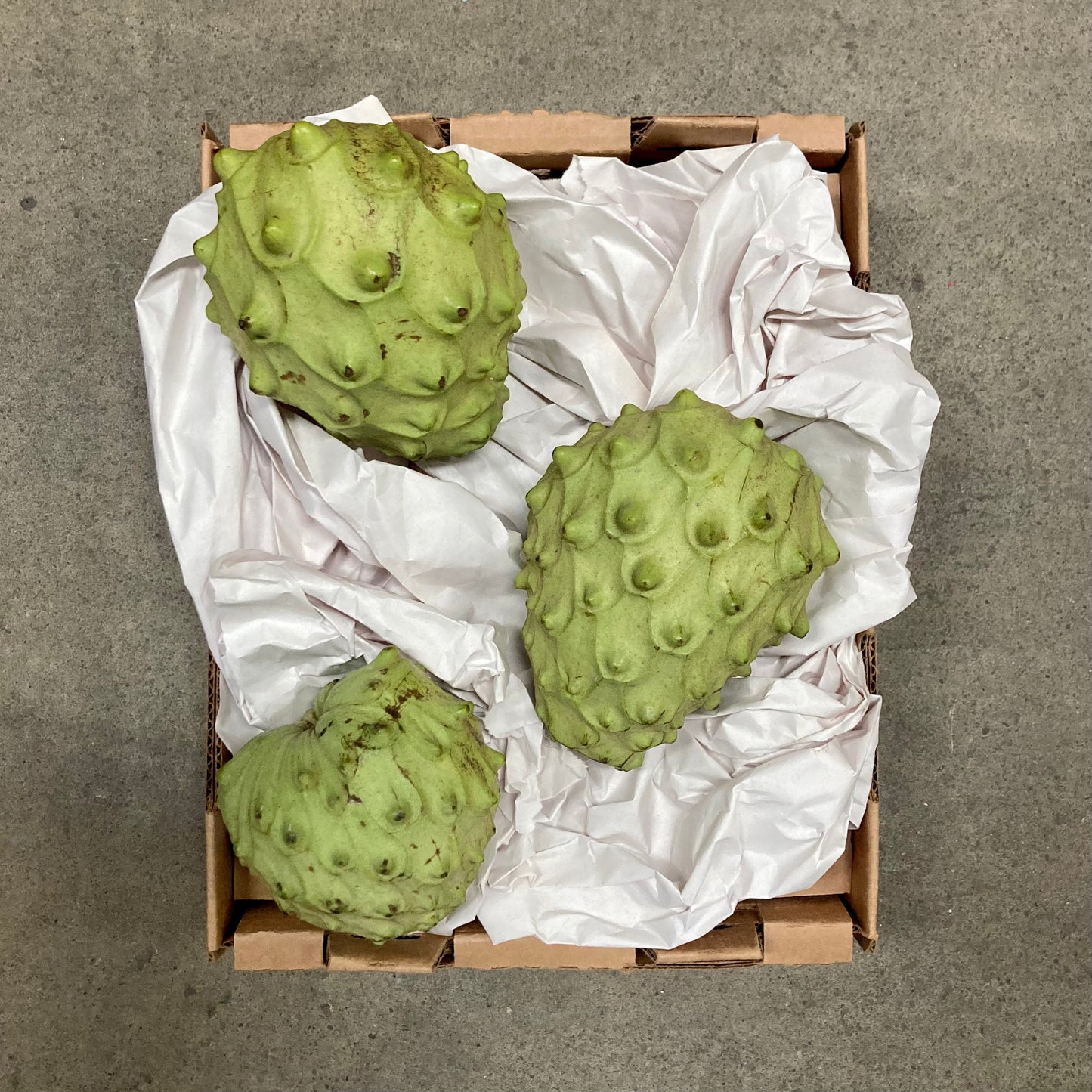 Organic Dr. White/Booth Cherimoya Box