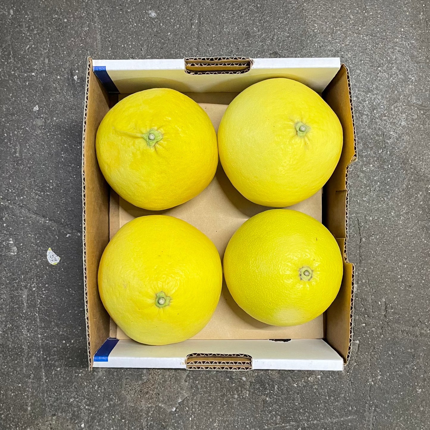 Organic Oro Blanco Grapefruit Box