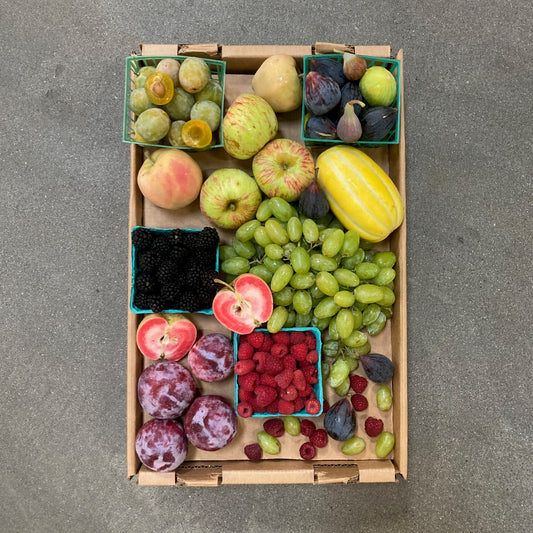 fruitqueen box