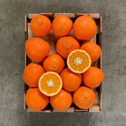 Organic Minneola Tangelo Box