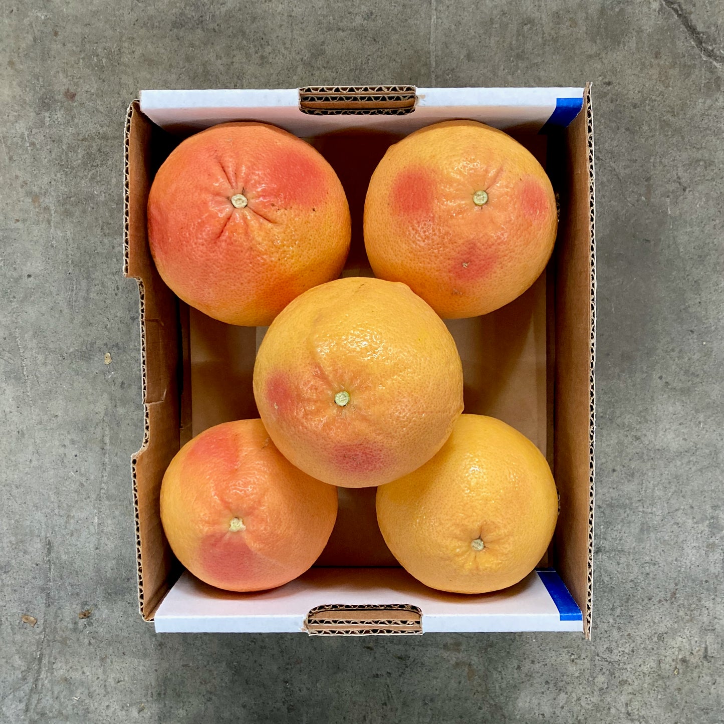 Organic Rio Red Grapefruit Box