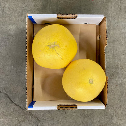 Organic Chandler Pomelo Box