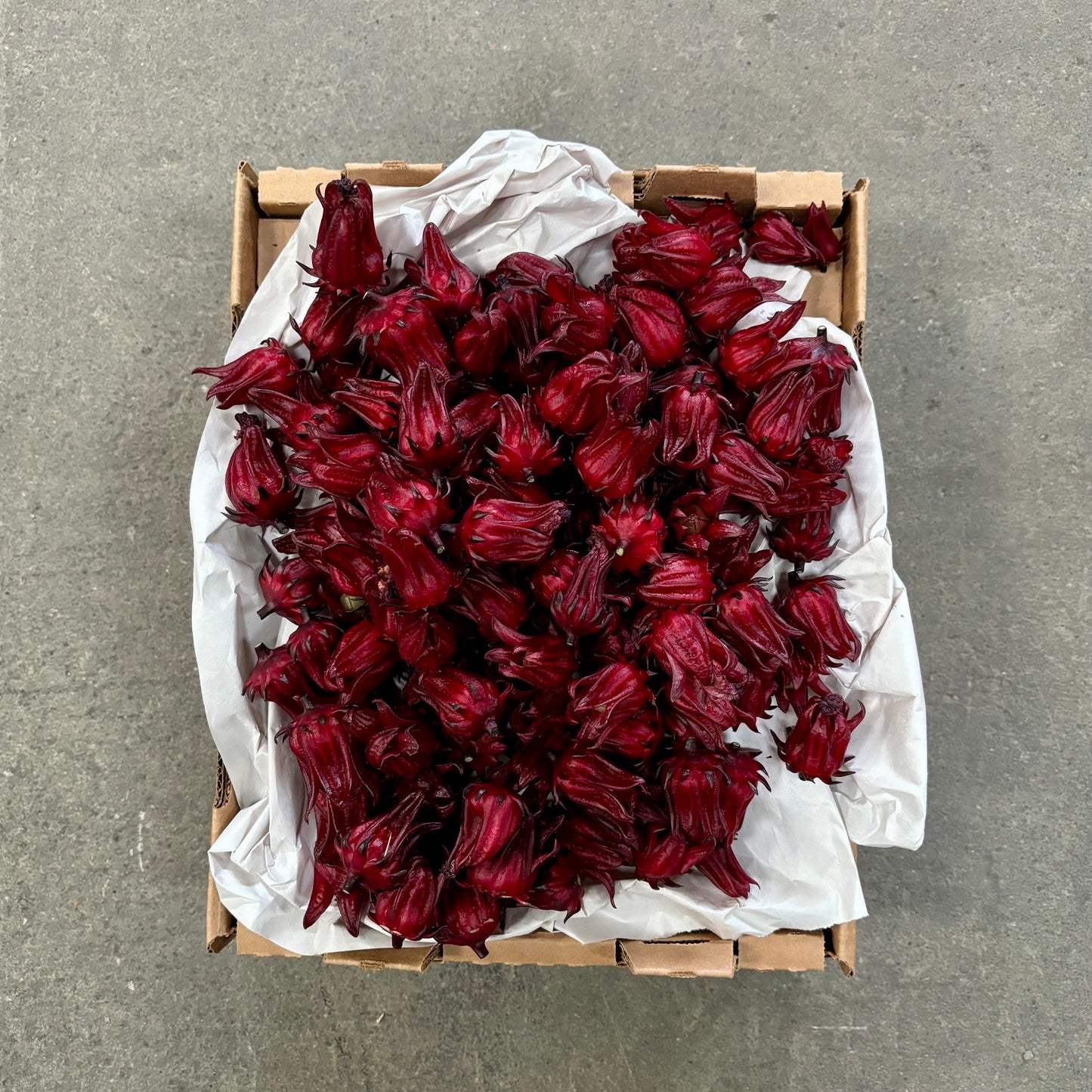 Organic Fresh Roselle Hibiscus