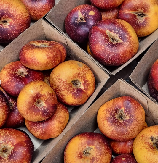 Rapunzel Yellow Donut Nectarines