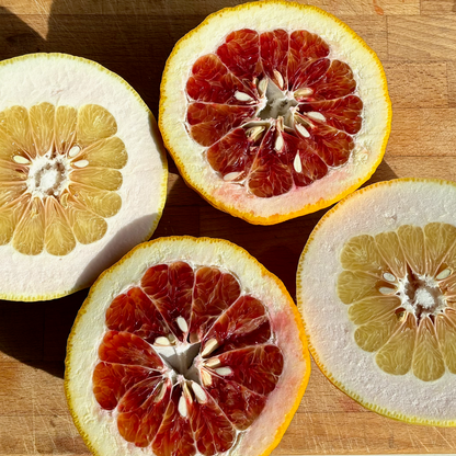 Andy's Valentine & Rubidoux Pomelo Box