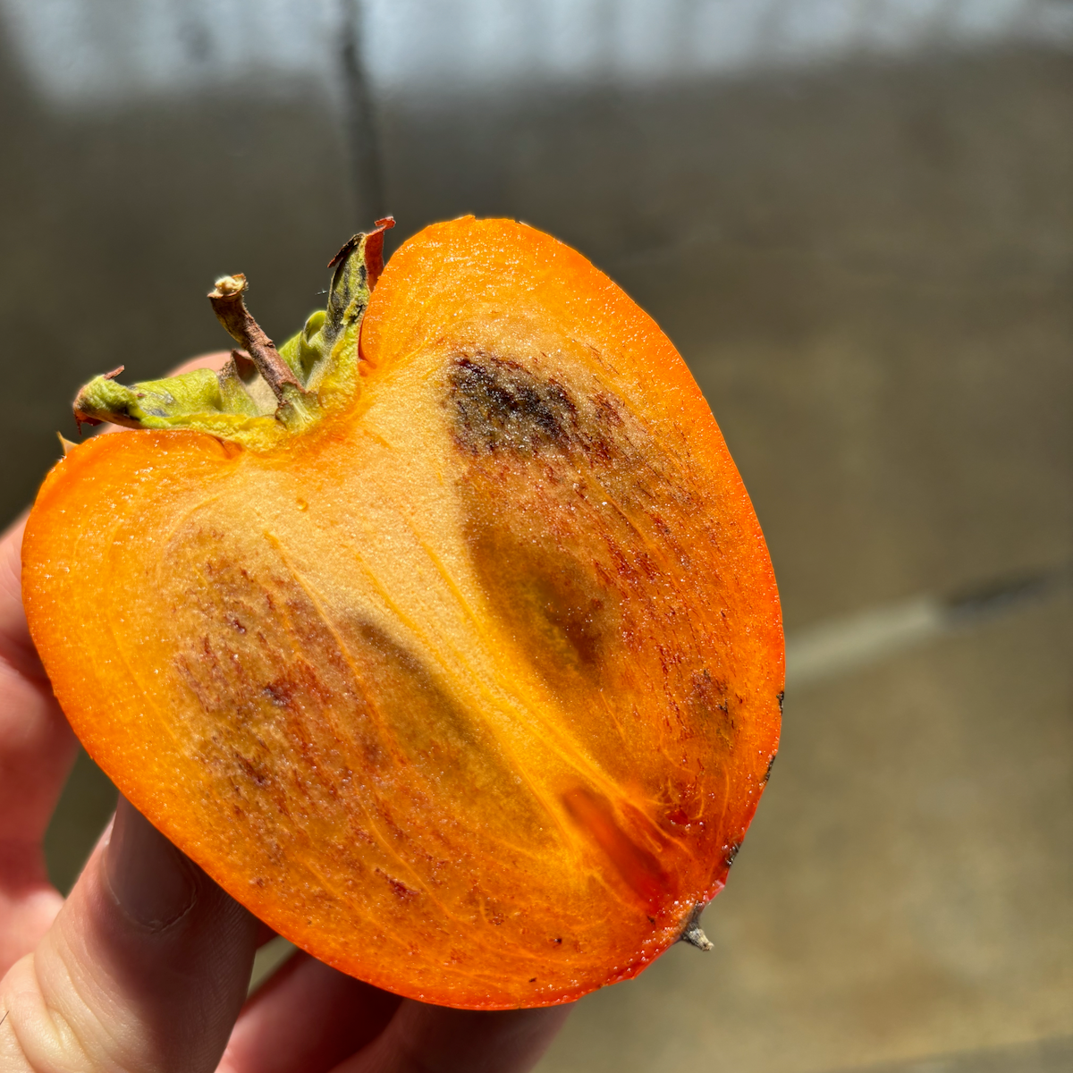 Organic Chocolate Persimmons