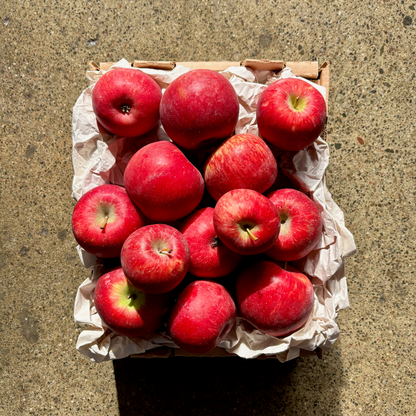 Devoto Seasonal Organic Apple Box
