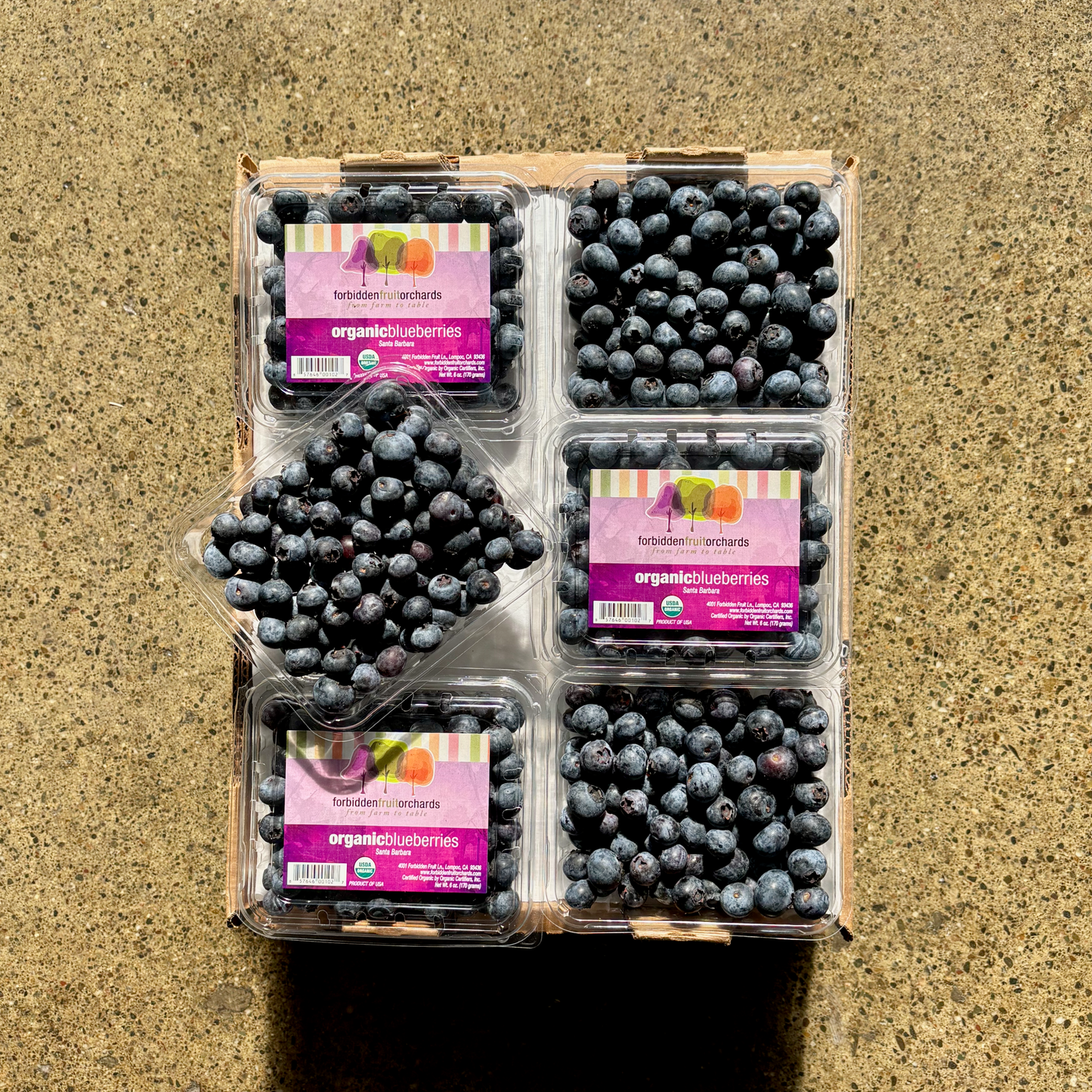 Organic Sapphire Blueberries