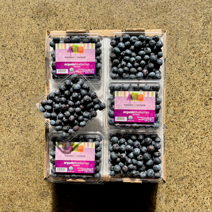 Organic Sapphire Blueberries