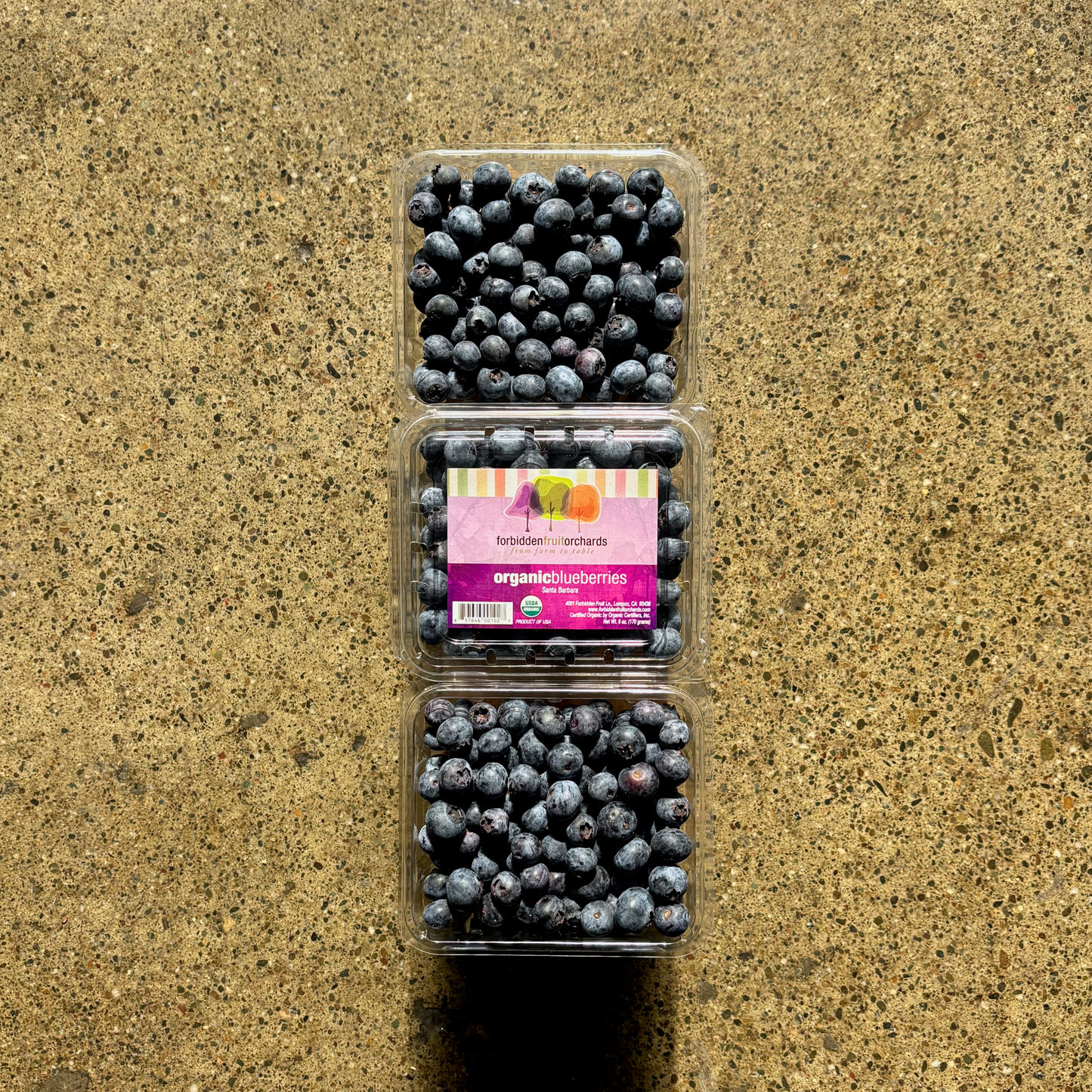 Organic Sapphire Blueberries