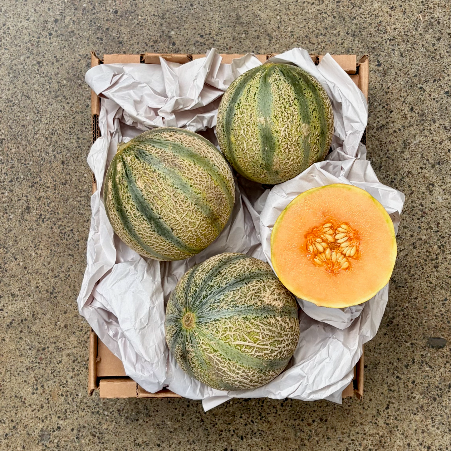 Organic Griselet Charentais Melon
