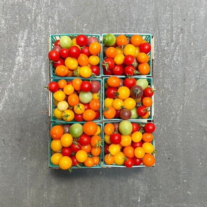Organic Mixed Cherry Tomatoes