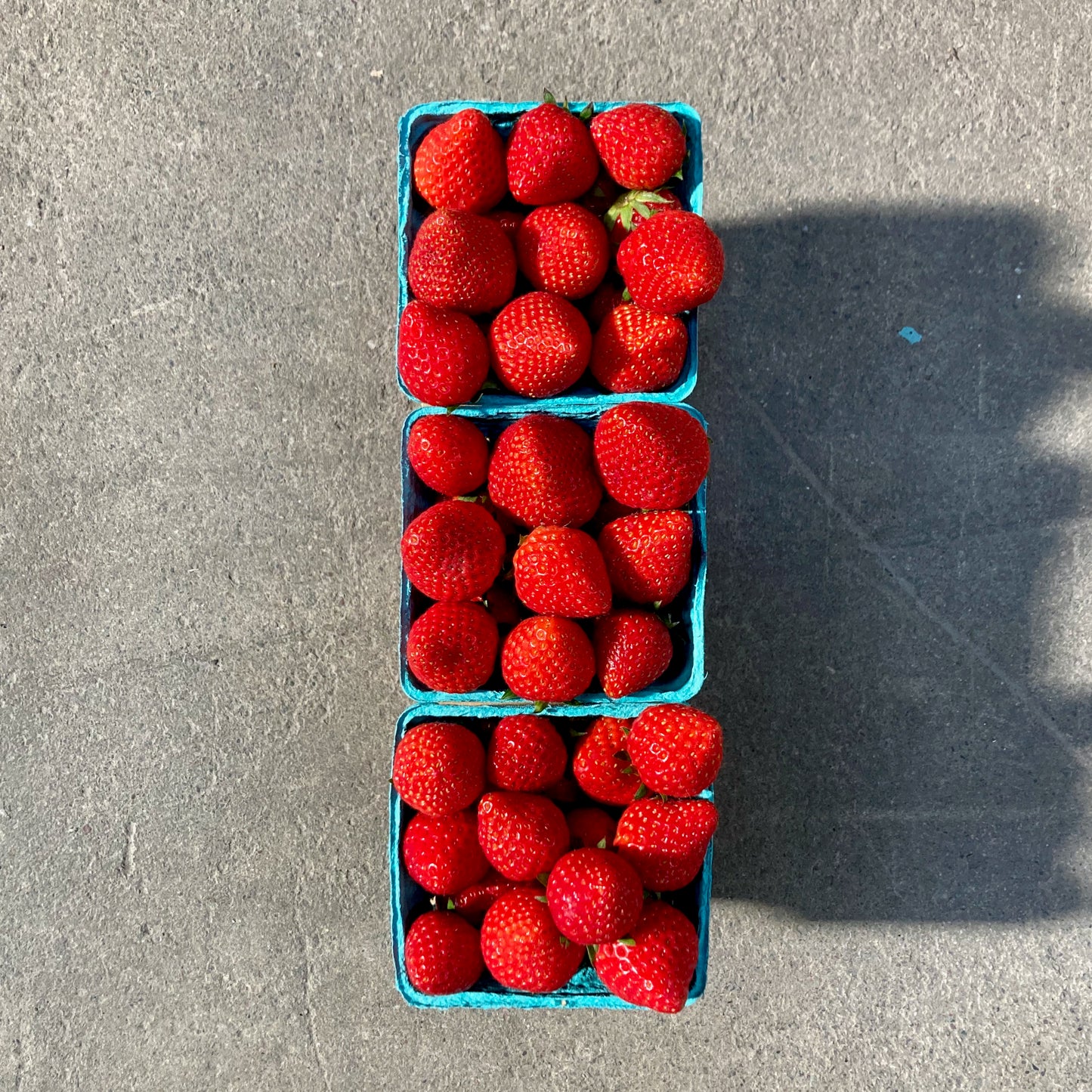 Trio of Japanese Haruhi Strawberries