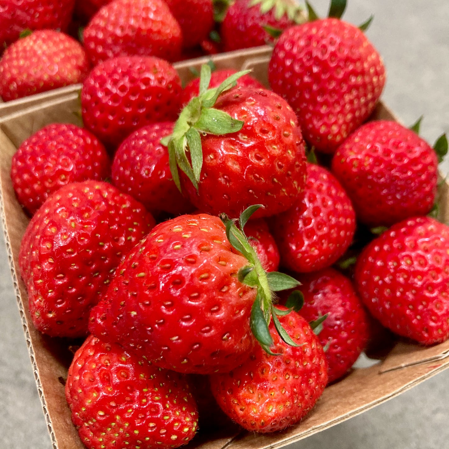 Trio of Japanese Haruhi Strawberries