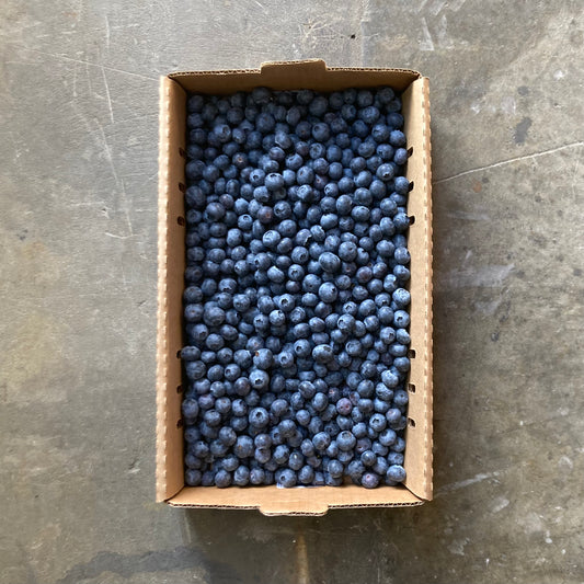 Box of Organic Snowchaser Blueberries