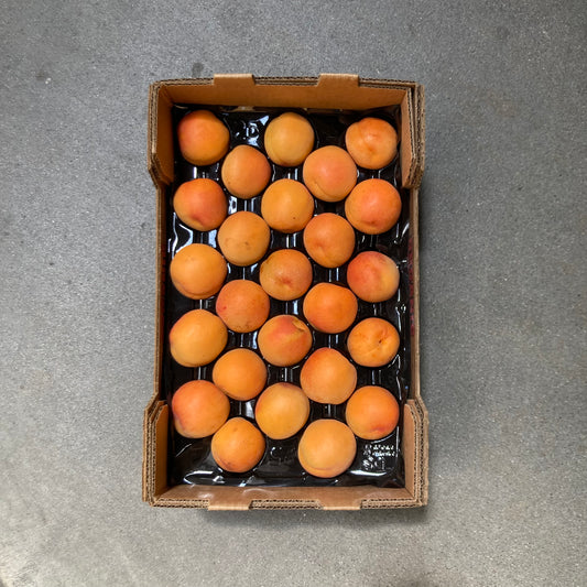 Half Flat of Organic Golden Sweet Apricots