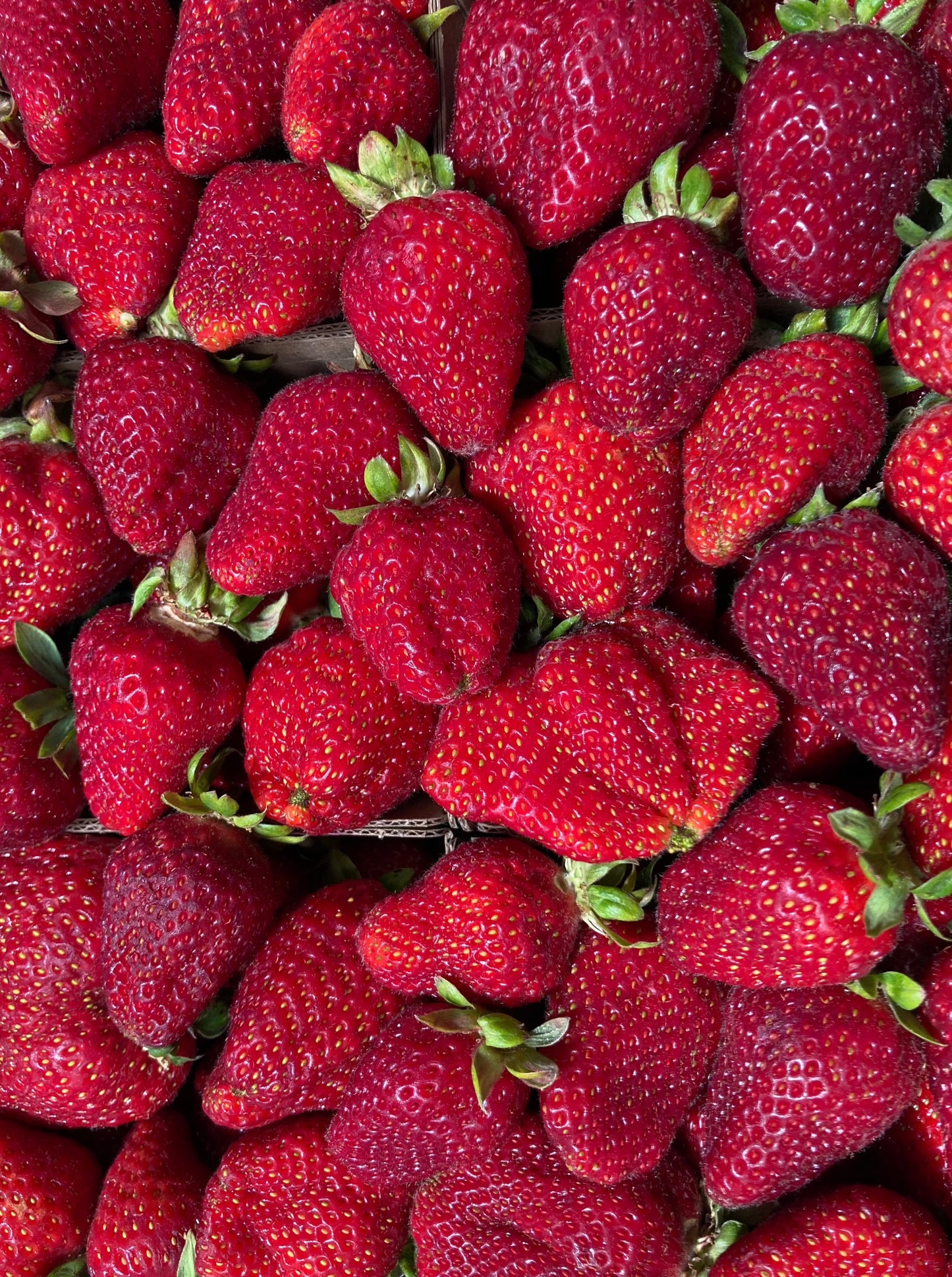 Flat of Organic Chandler Strawberries
