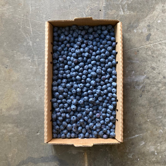 Box of Organic Jewel Blueberries