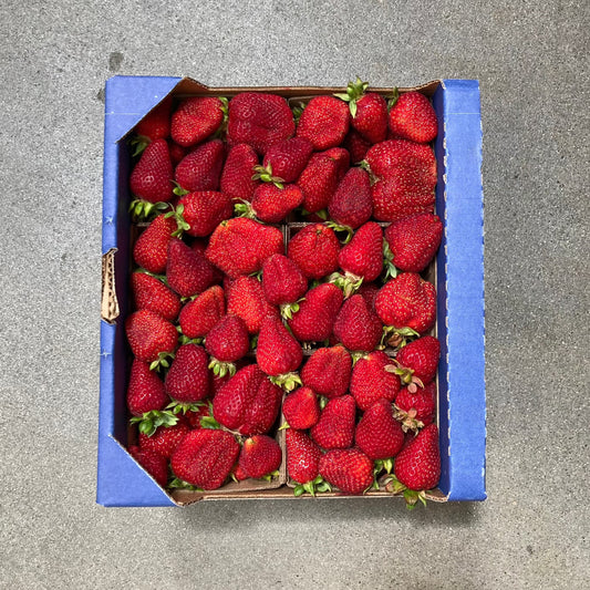 Half Flat of Organic Chandler Strawberries