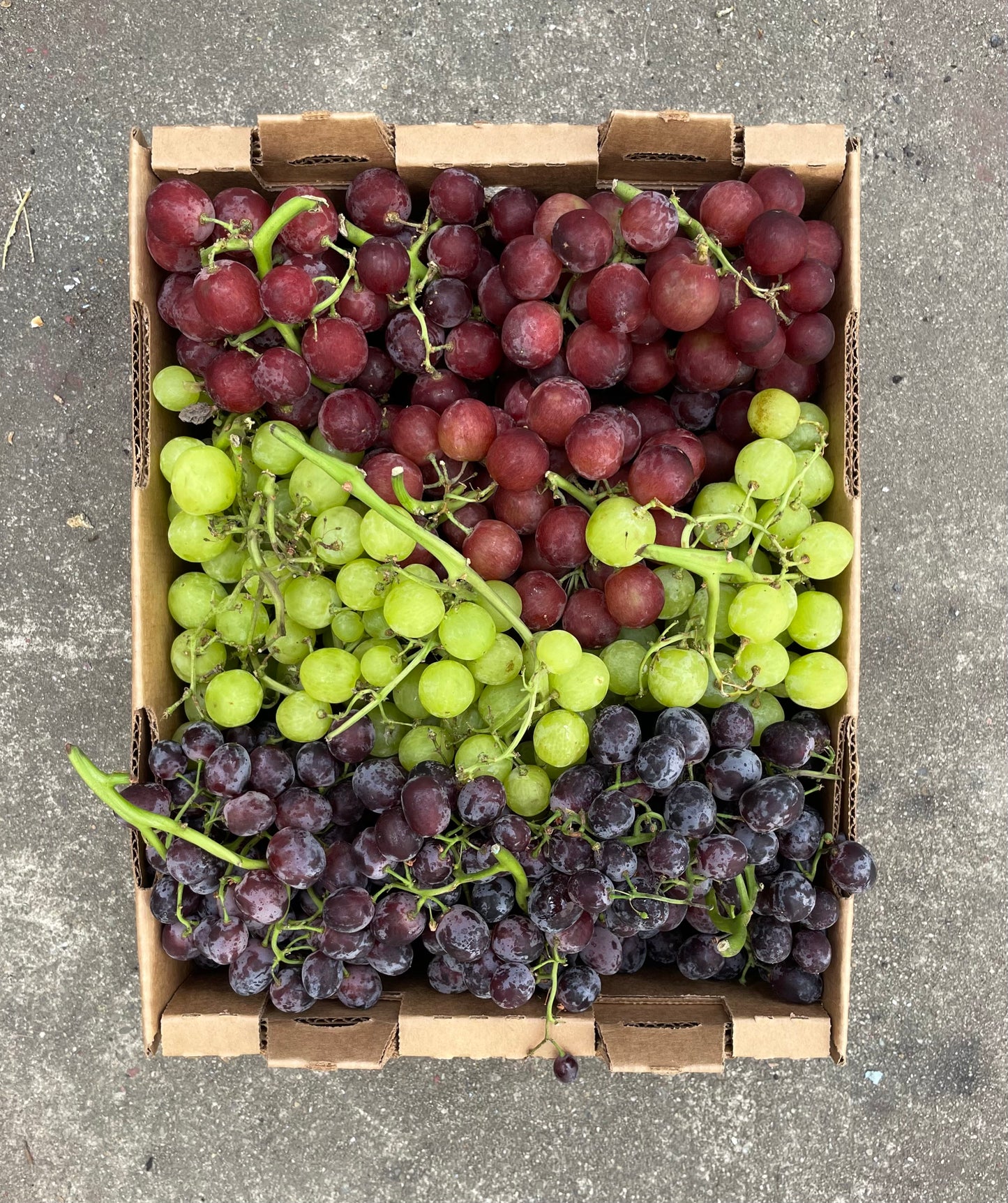 Organic Grapes Trio