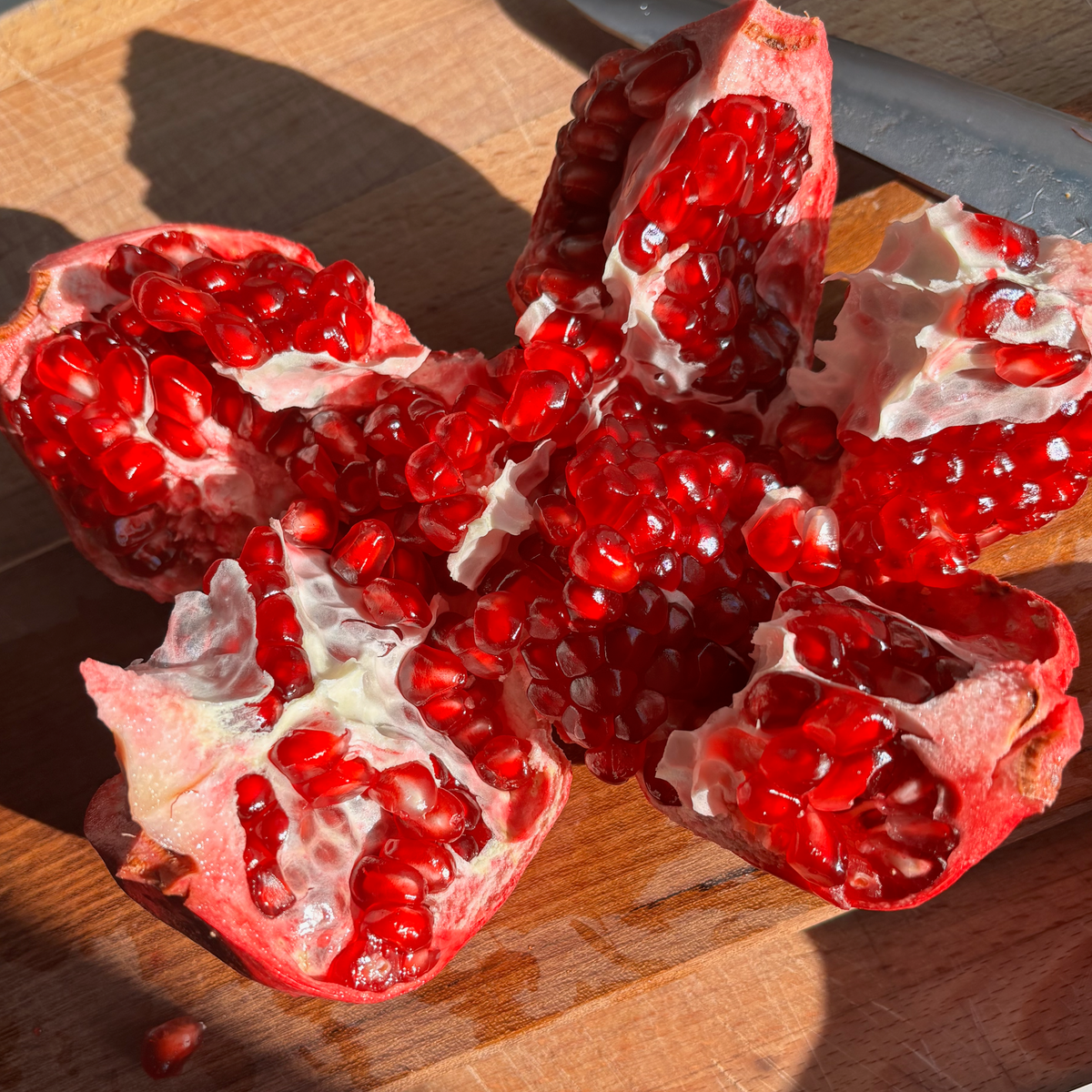 Organic Red Silk Pomegranates