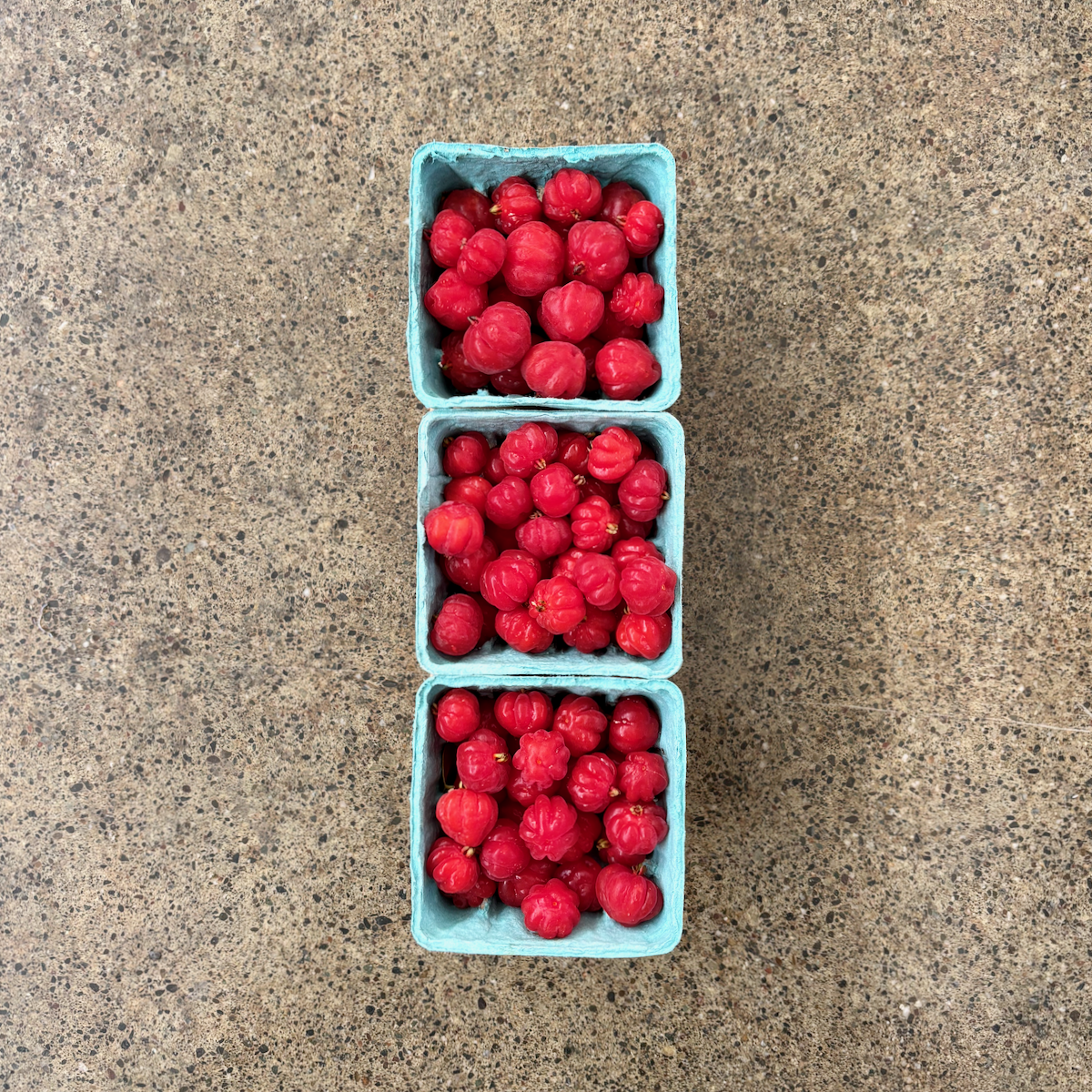 Organic Surinam Cherries