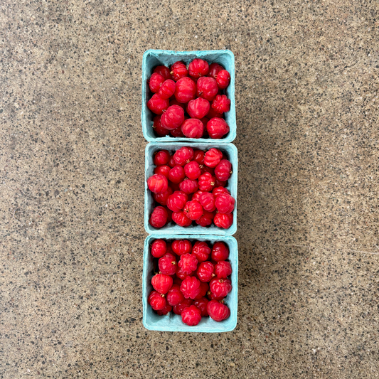 Trio of Organic Surinam Cherries