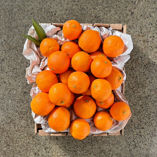 Organic Algerian Clementines