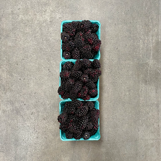 Organic Freedom Blackberries