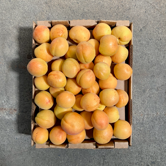 Box of Organic Blenheim Apricots