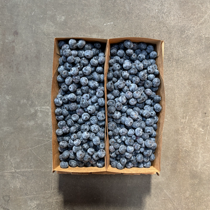 Organic Snowchaser Blueberries