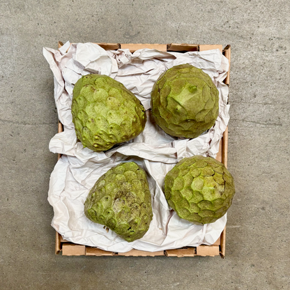 Organic Booth Cherimoya Box