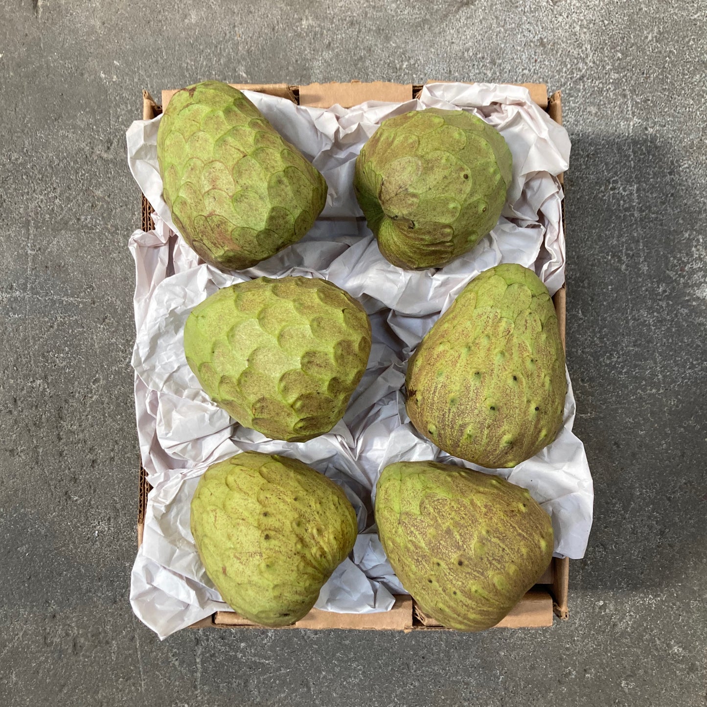 Organic Booth Cherimoya Box