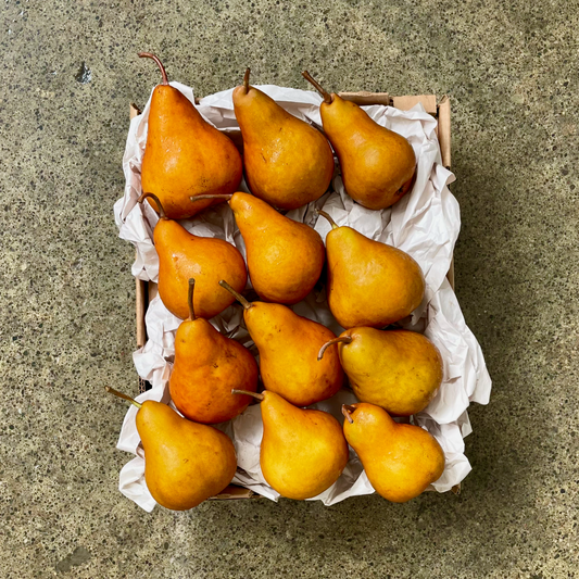 Organic Bosc Pear Box