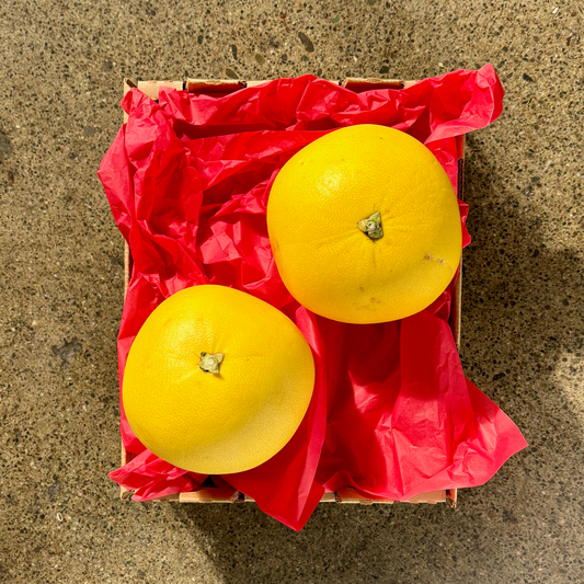 Organic Chandler Pomelos