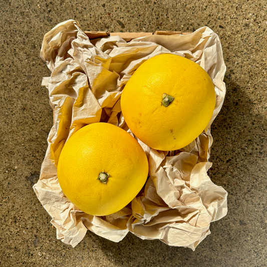Organic Red Shaddock Pomelos