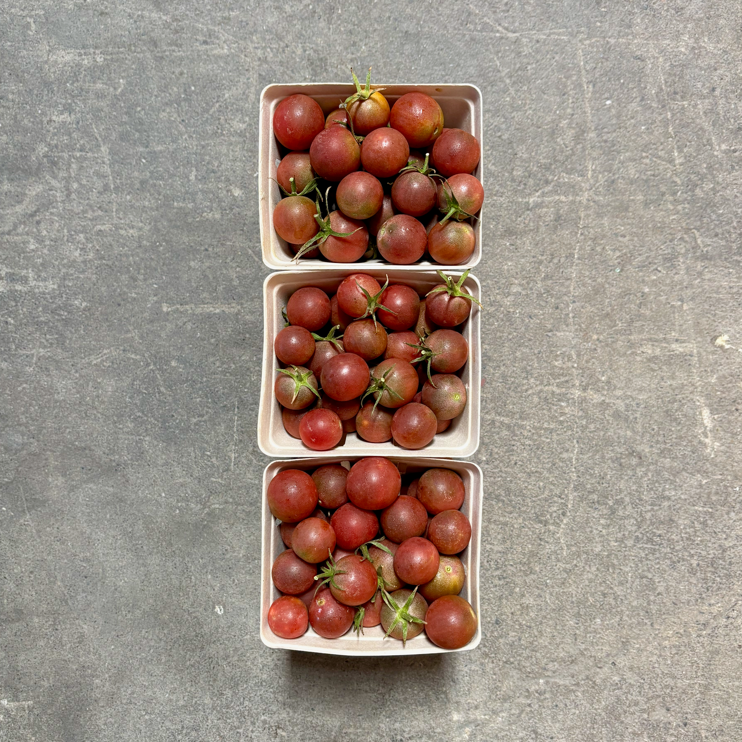 Organic Chocolate Cherry Tomatoes