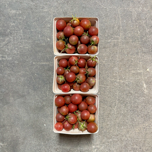 Organic Sunchocola Cherry Tomatoes