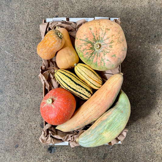 Organic Edible Pumpkin Box